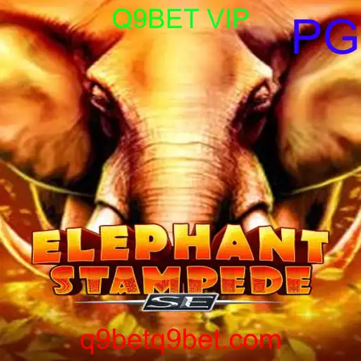 ElephantStampedeSE